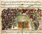 A number of manuscripts were made under the Injuids in Shiraz that were clearly influenced by Il-Khanid painting, but also had their own style, with characteristic earth colors and trees with large flowers. The Indian animal fables told in Kalila wa Dimna should be considered a “mirror for princes,” didactic stories intended to teach young nobles to rule wisely. We see a fox that has greedily pulled a drum down from a tree, and in doing so driven the birds away that were its actual prey. The fox has just discovered that the drum cannot be eaten, even though it is big and noisy.