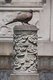 China: Spotted Dove perched on a pillar in Wenshu Yuan (Wenshu Temple), Chengdu, Sichuan Province