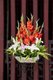 China: Flower display, Wenshu Yuan (Wenshu Temple), Chengdu, Sichuan Province